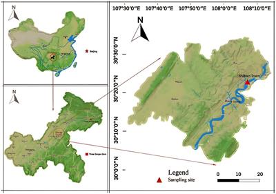 Artificially remediated plants impact soil physiochemical properties along the riparian zones of the three gorges dam in China